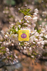 Onion Sticker