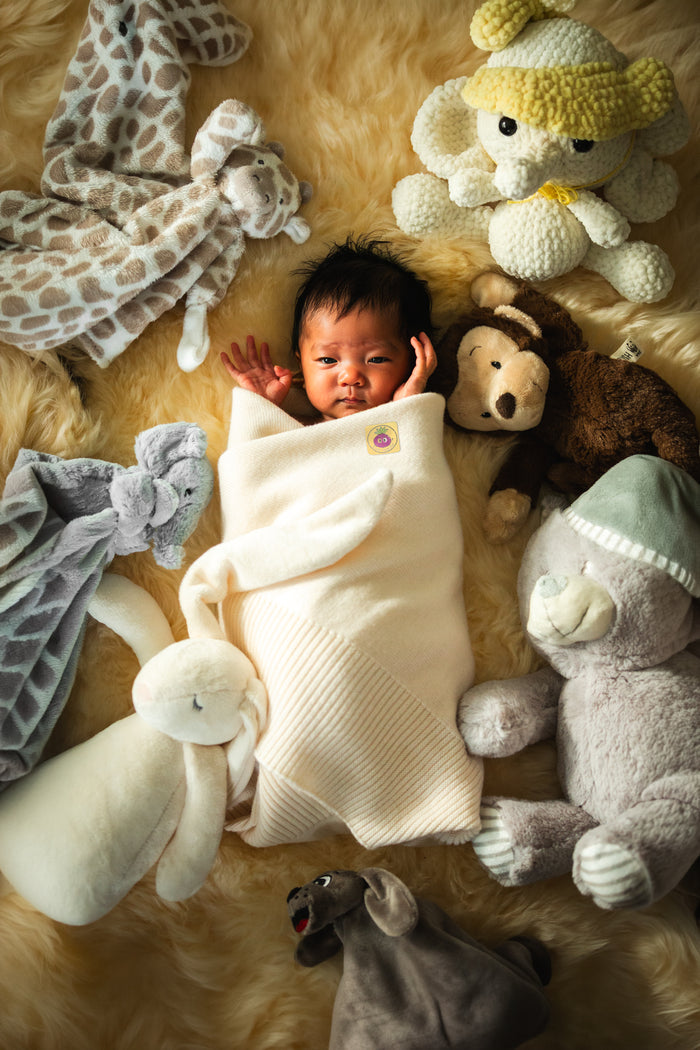 Onion Sticker